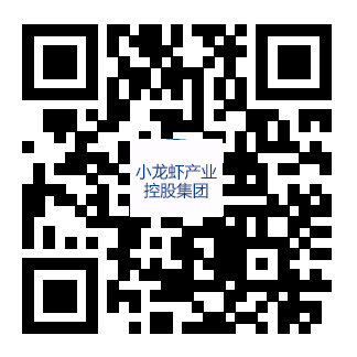集團(tuán)手機(jī)站