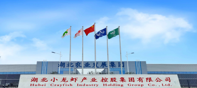 工廠、農(nóng)場(chǎng)、老字號(hào)的天貓618：經(jīng)濟(jì)“毛細(xì)血管”動(dòng)起來